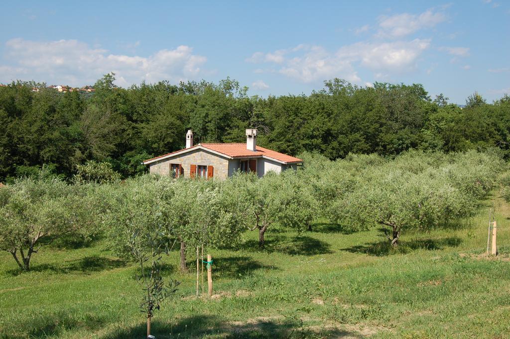 Olivahouse Villa Marezige Exterior photo